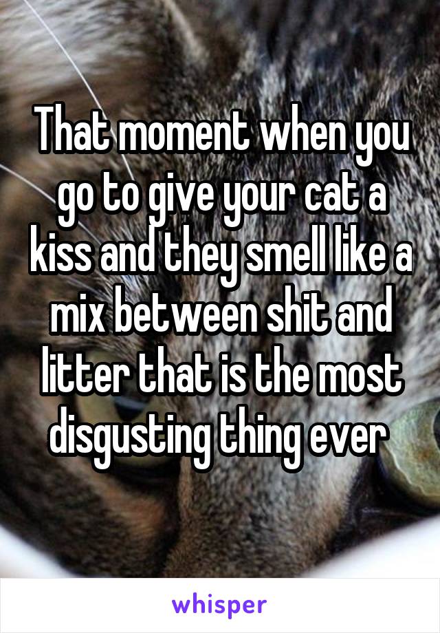 That moment when you go to give your cat a kiss and they smell like a mix between shit and litter that is the most disgusting thing ever 

