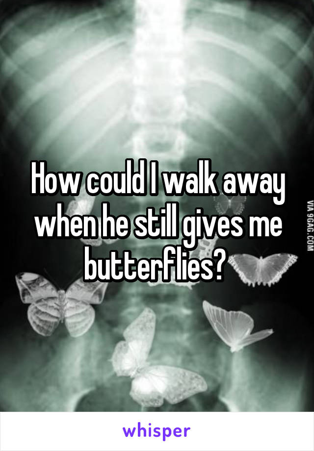 How could I walk away when he still gives me butterflies? 