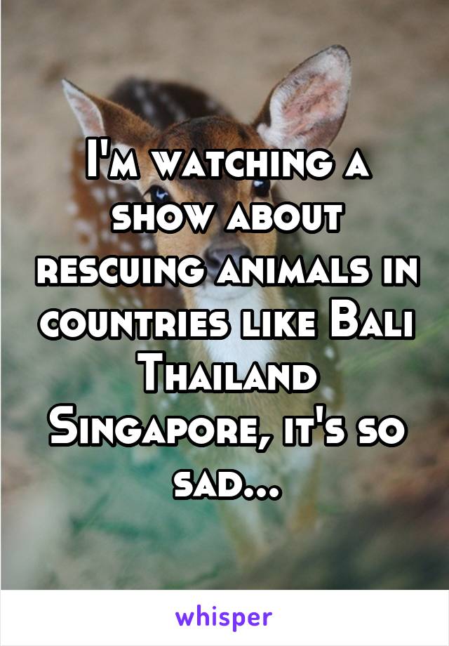 I'm watching a show about rescuing animals in countries like Bali Thailand Singapore, it's so sad...