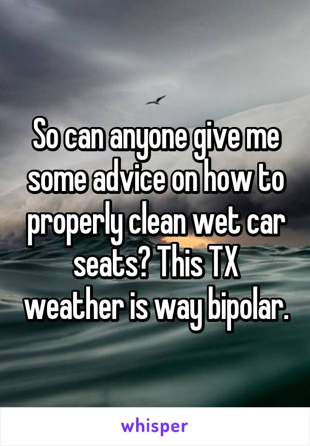 So can anyone give me some advice on how to properly clean wet car seats? This TX weather is way bipolar.