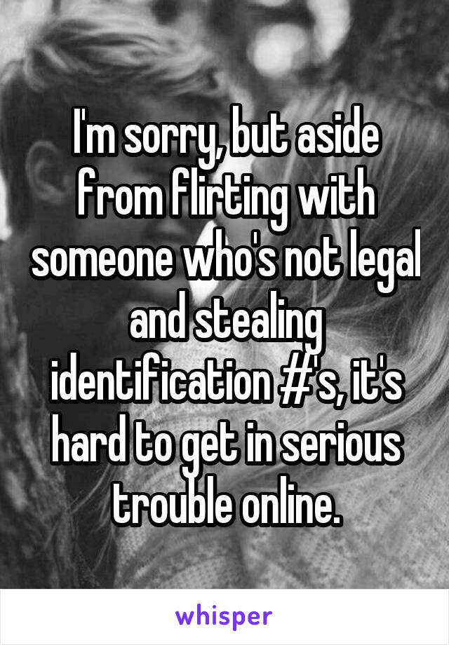 I'm sorry, but aside from flirting with someone who's not legal and stealing identification #'s, it's hard to get in serious trouble online.