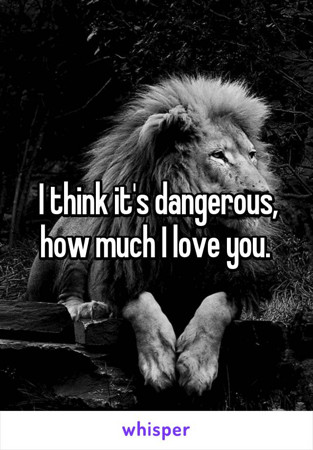 I think it's dangerous, how much I love you. 