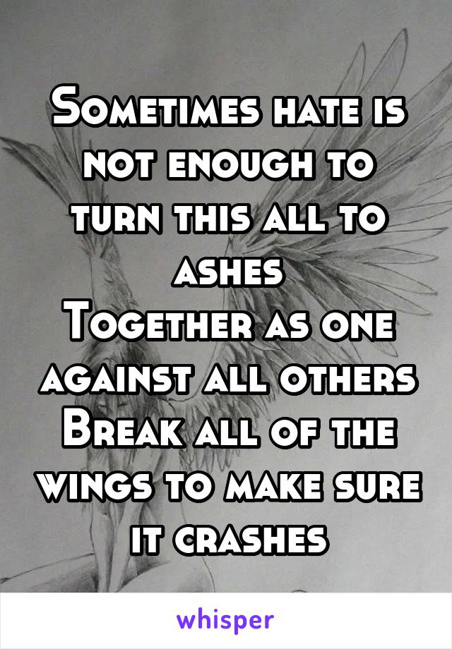 Sometimes hate is not enough to turn this all to ashes
Together as one against all others
Break all of the wings to make sure it crashes
