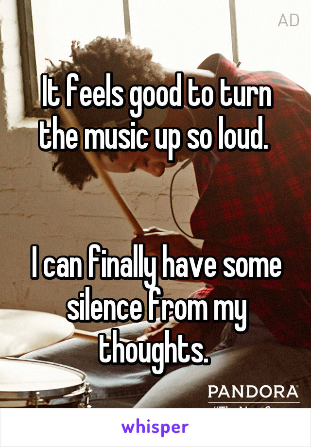 It feels good to turn the music up so loud. 


I can finally have some silence from my thoughts. 