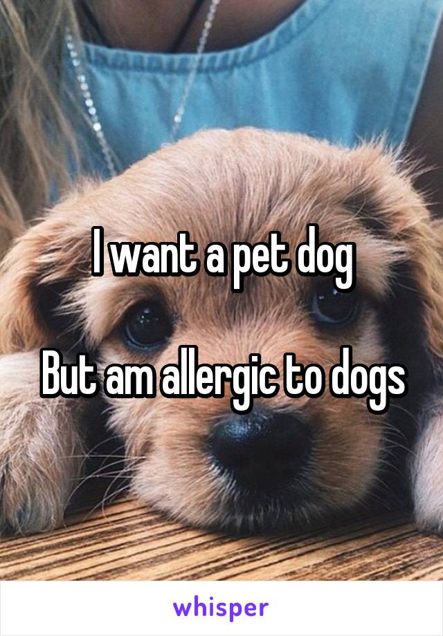 I want a pet dog

But am allergic to dogs