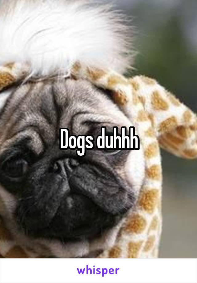 Dogs duhhh