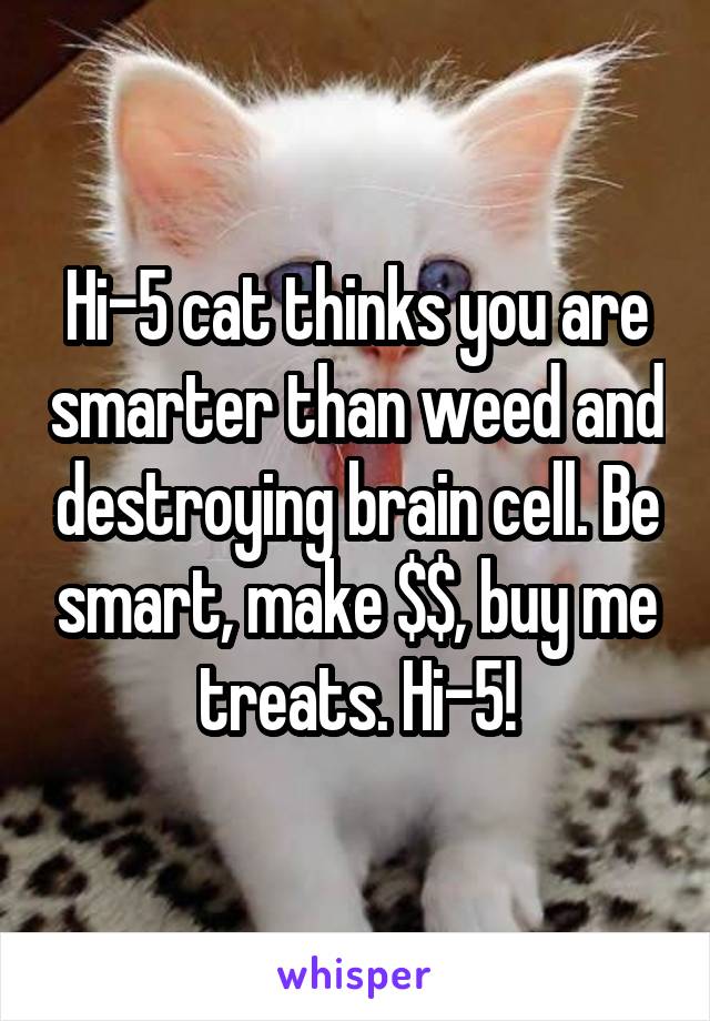 Hi-5 cat thinks you are smarter than weed and destroying brain cell. Be smart, make $$, buy me treats. Hi-5!