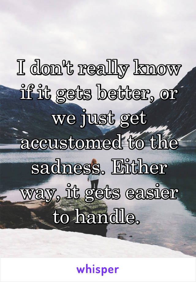 I don't really know if it gets better, or we just get accustomed to the sadness. Either way, it gets easier to handle. 