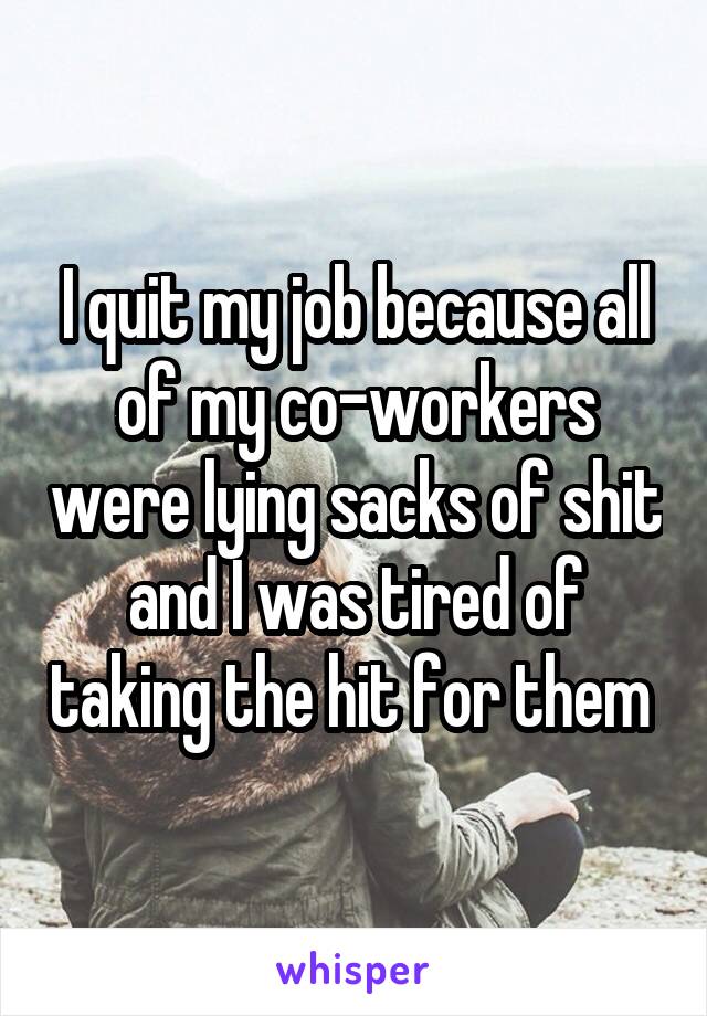I quit my job because all of my co-workers were lying sacks of shit and I was tired of taking the hit for them 