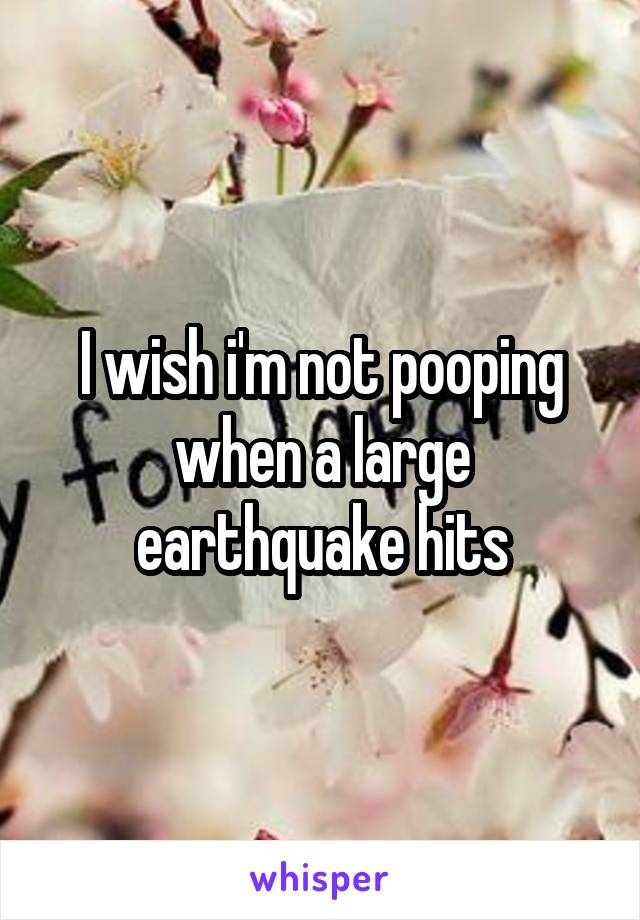 I wish i'm not pooping when a large earthquake hits