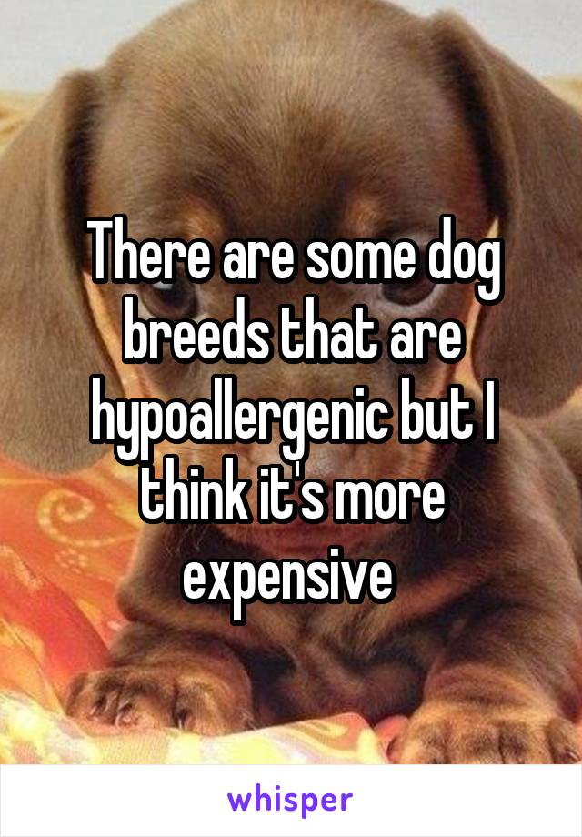 There are some dog breeds that are hypoallergenic but I think it's more expensive 