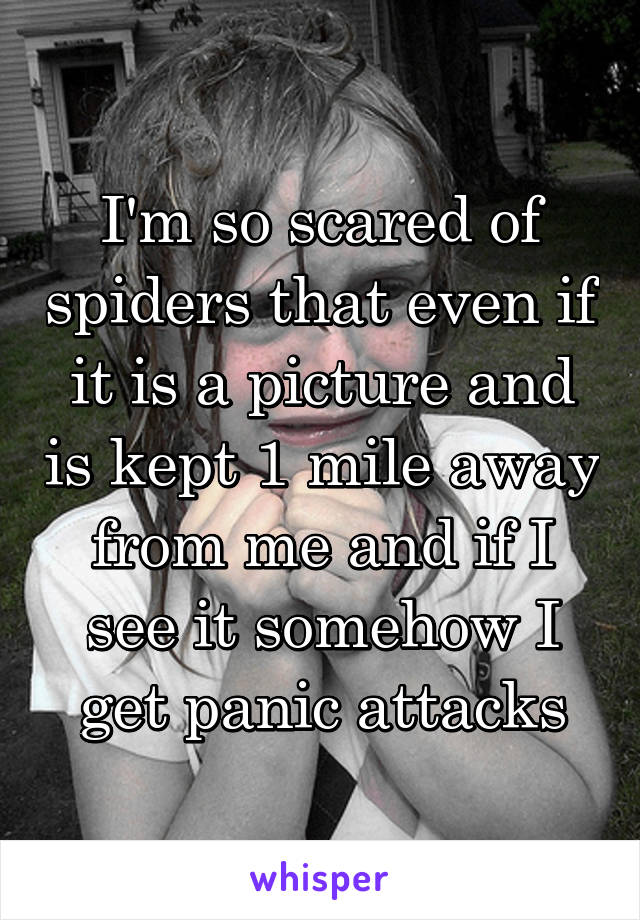 I'm so scared of spiders that even if it is a picture and is kept 1 mile away from me and if I see it somehow I get panic attacks