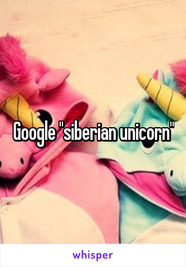 Google "siberian unicorn"