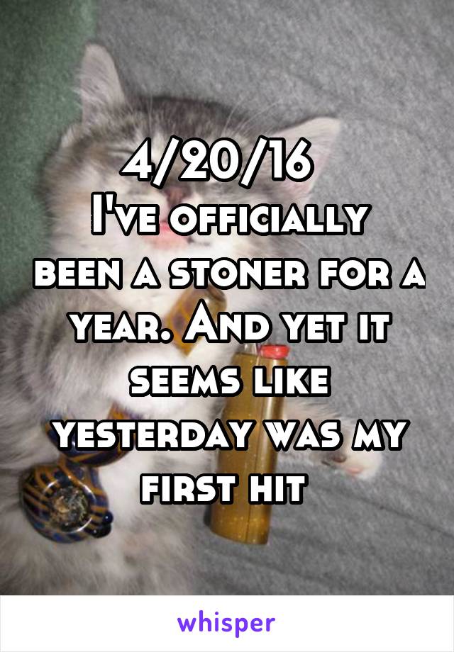 4/20/16  
I've officially been a stoner for a year. And yet it seems like yesterday was my first hit 