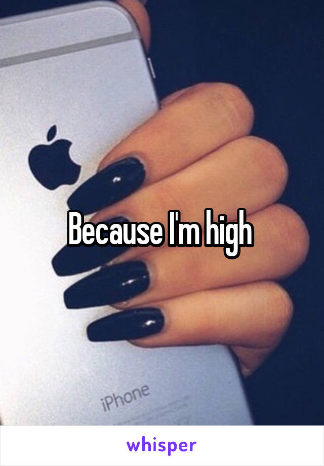 Because I'm high 