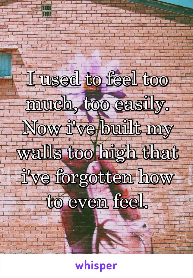 I used to feel too much, too easily. Now i've built my walls too high that i've forgotten how to even feel.