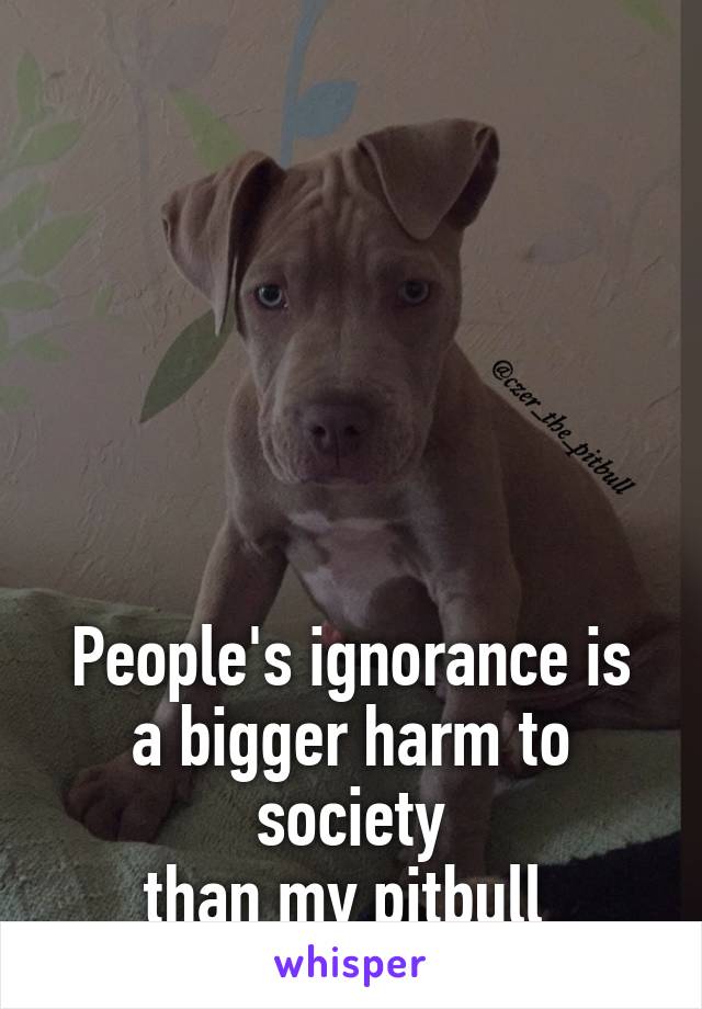 






People's ignorance is a bigger harm to society
than my pitbull 