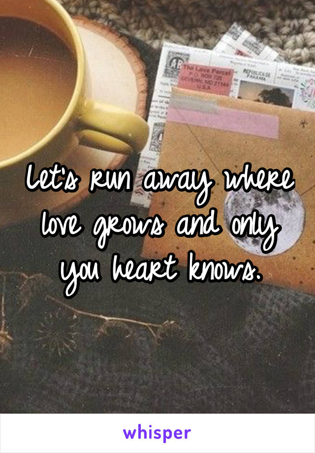 Let's run away where love grows and only you heart knows.