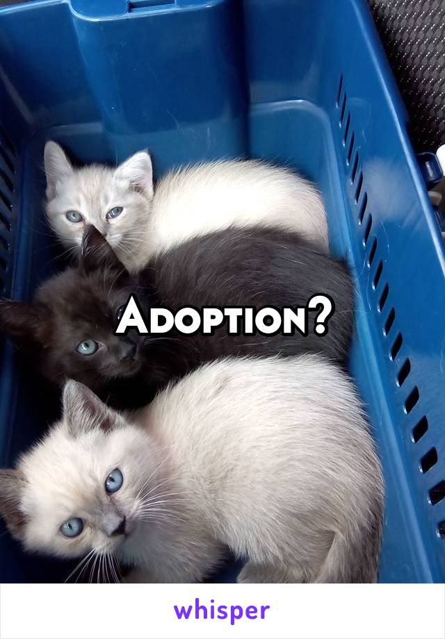Adoption?
