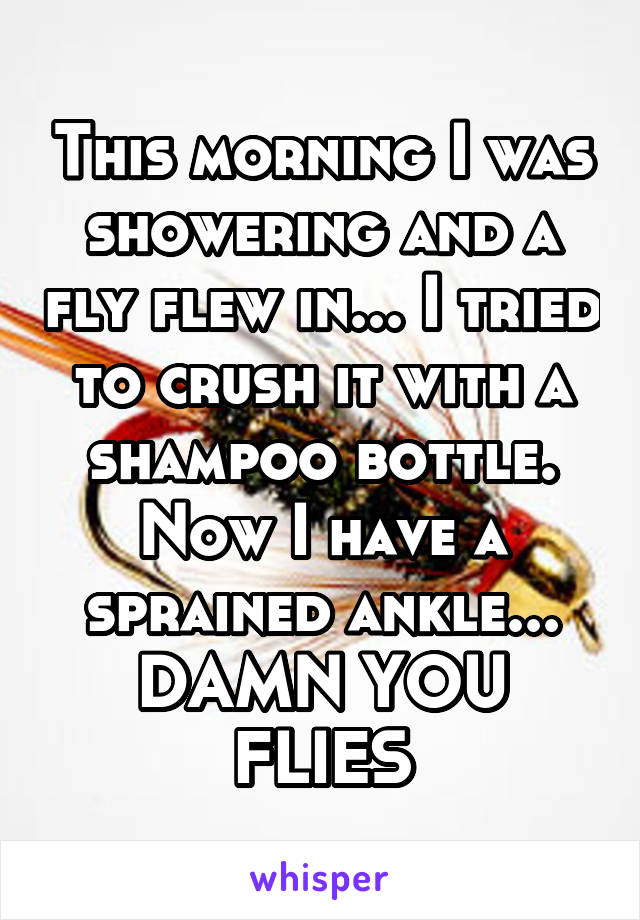 This morning I was showering and a fly flew in... I tried to crush it with a shampoo bottle. Now I have a sprained ankle... DAMN YOU FLIES
