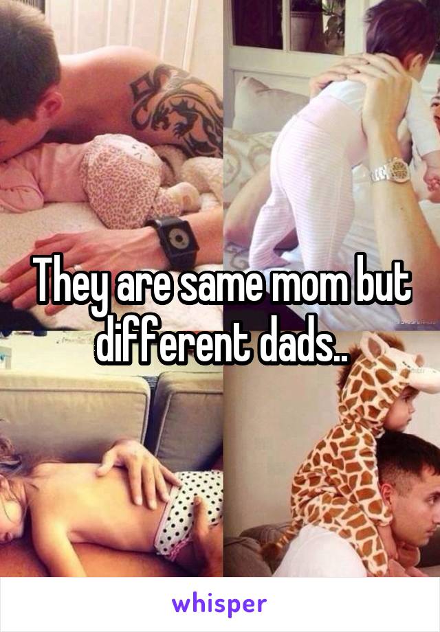 They are same mom but different dads..