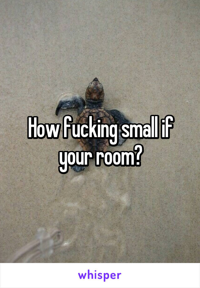 How fucking small if your room?