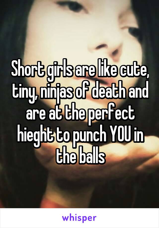 Short girls are like cute, tiny, ninjas of death and are at the perfect hieght to punch YOU in the balls