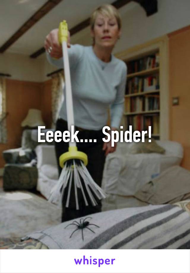 Eeeek.... Spider!