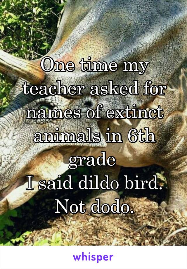 One time my teacher asked for names of extinct animals in 6th grade 
I said dildo bird.
Not dodo.