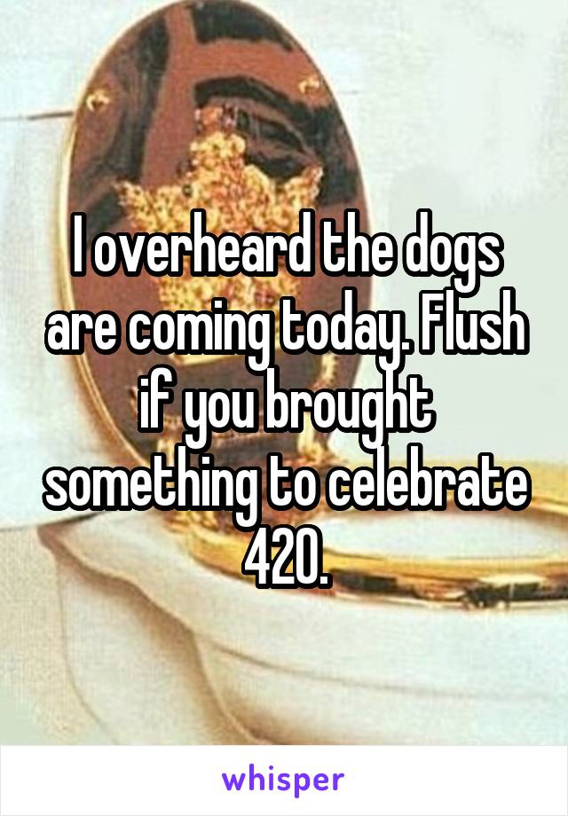 I overheard the dogs are coming today. Flush if you brought something to celebrate 420.