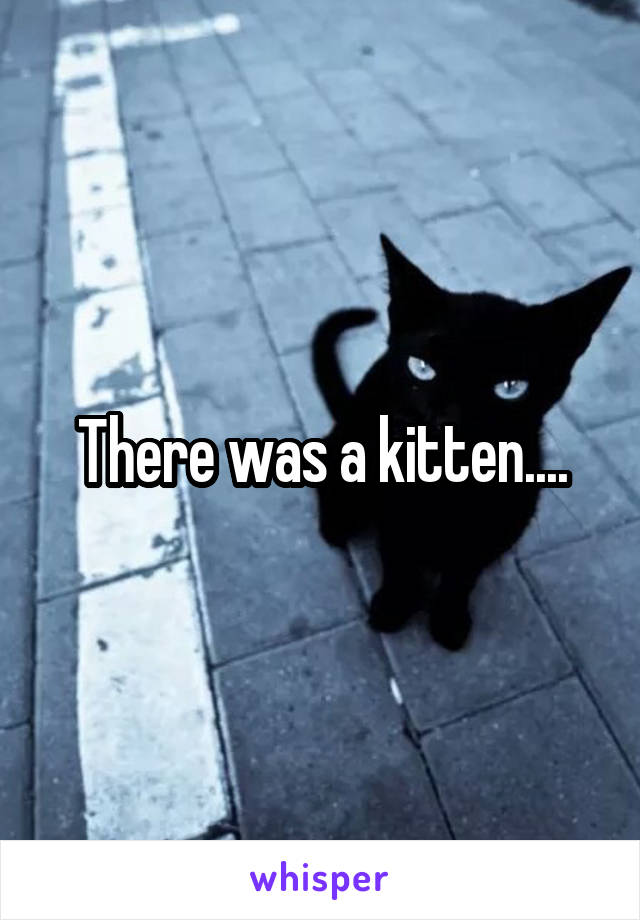 There was a kitten....