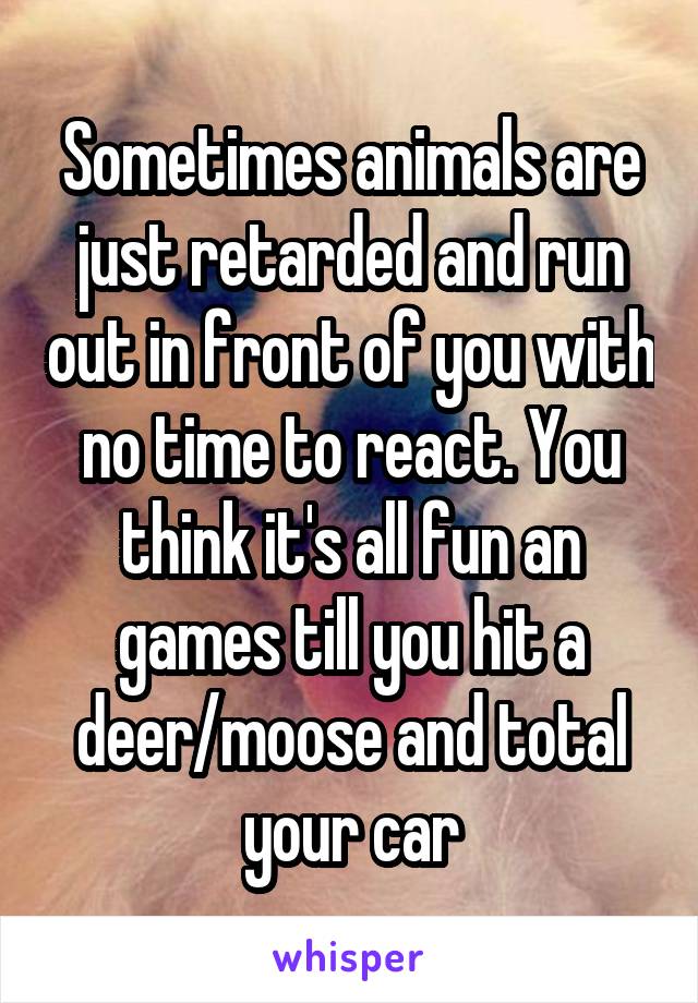 Sometimes animals are just retarded and run out in front of you with no time to react. You think it's all fun an games till you hit a deer/moose and total your car