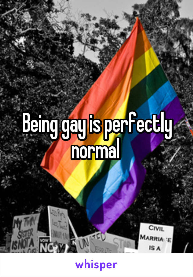 Being gay is perfectly normal 