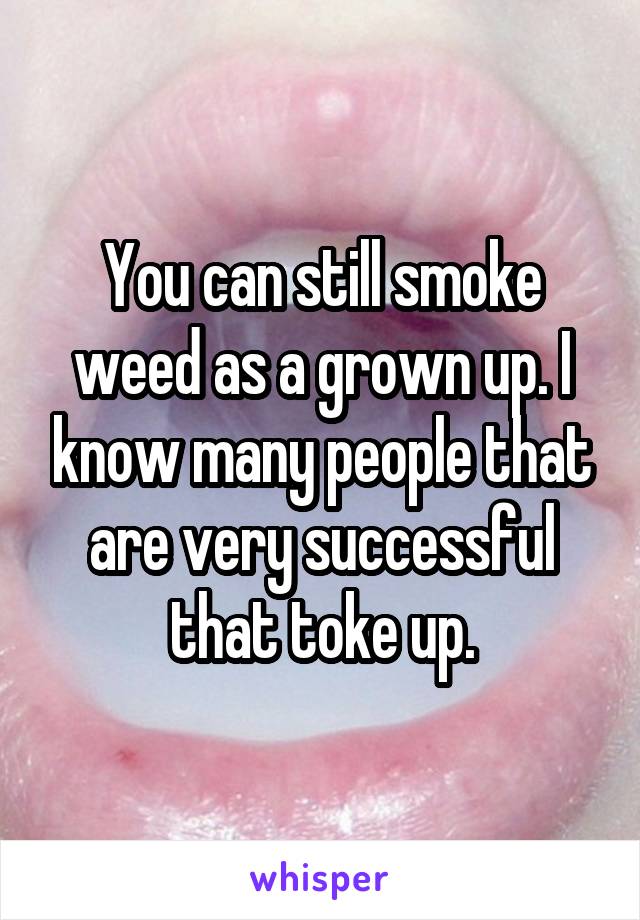 You can still smoke weed as a grown up. I know many people that are very successful that toke up.