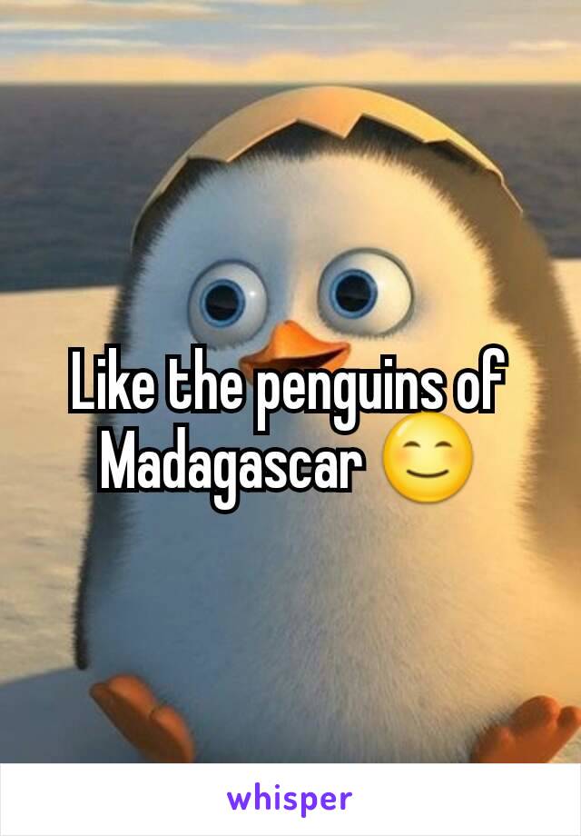 Like the penguins of Madagascar 😊