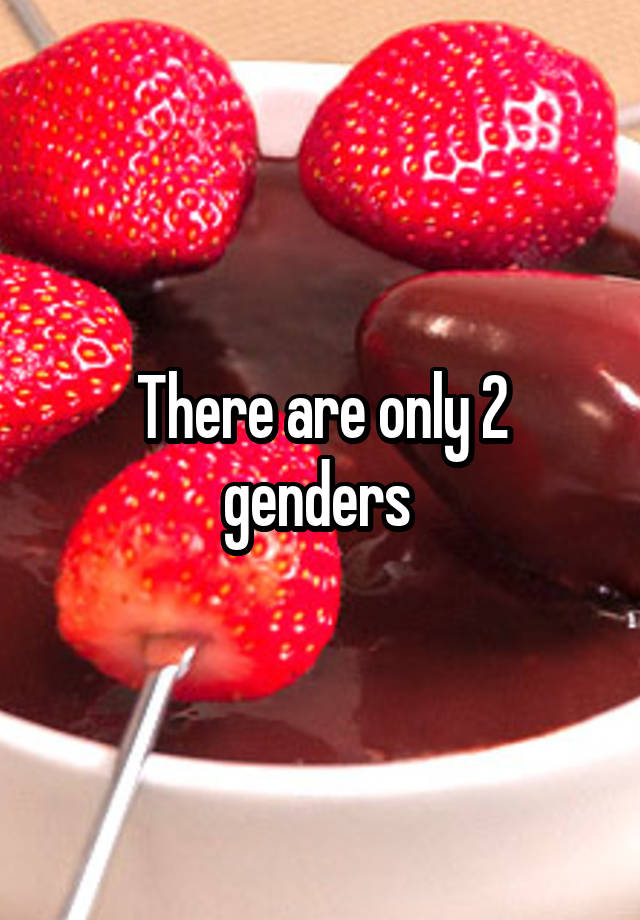 There Are Only 2 Genders