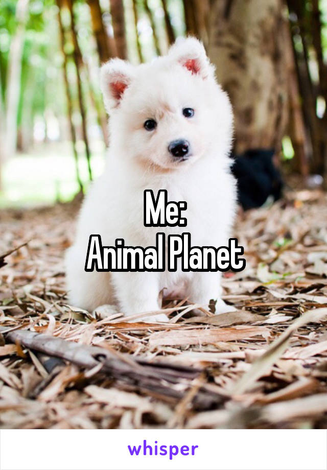 Me:
Animal Planet
