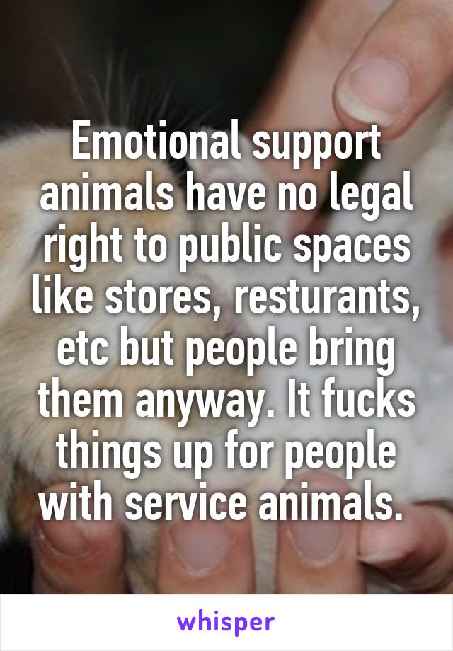Emotional support animals have no legal right to public spaces like stores, resturants, etc but people bring them anyway. It fucks things up for people with service animals. 