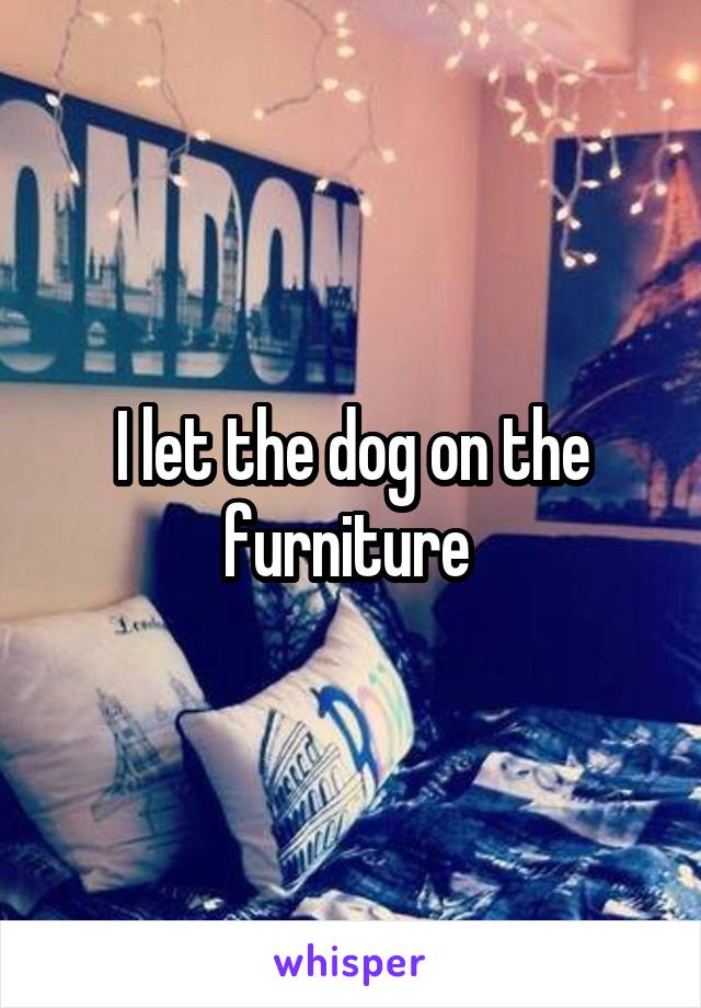 I let the dog on the furniture 