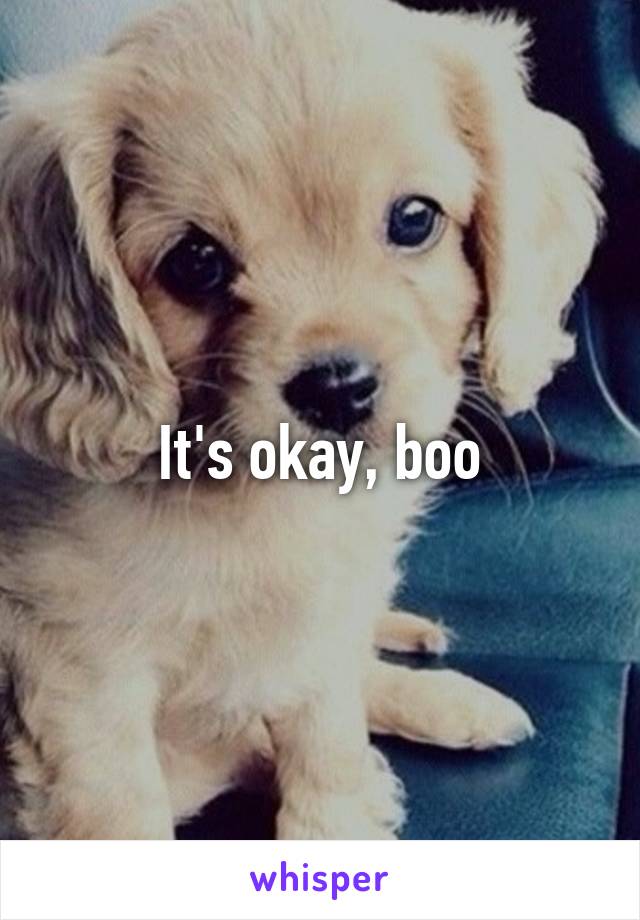 It's okay, boo