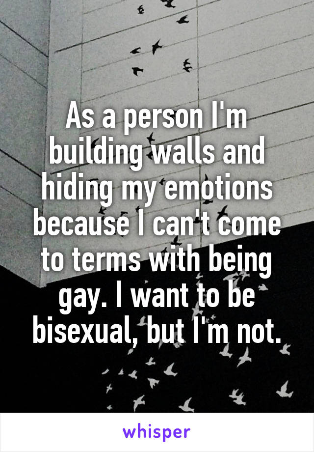 As a person I'm building walls and hiding my emotions because I can't come to terms with being gay. I want to be bisexual, but I'm not.