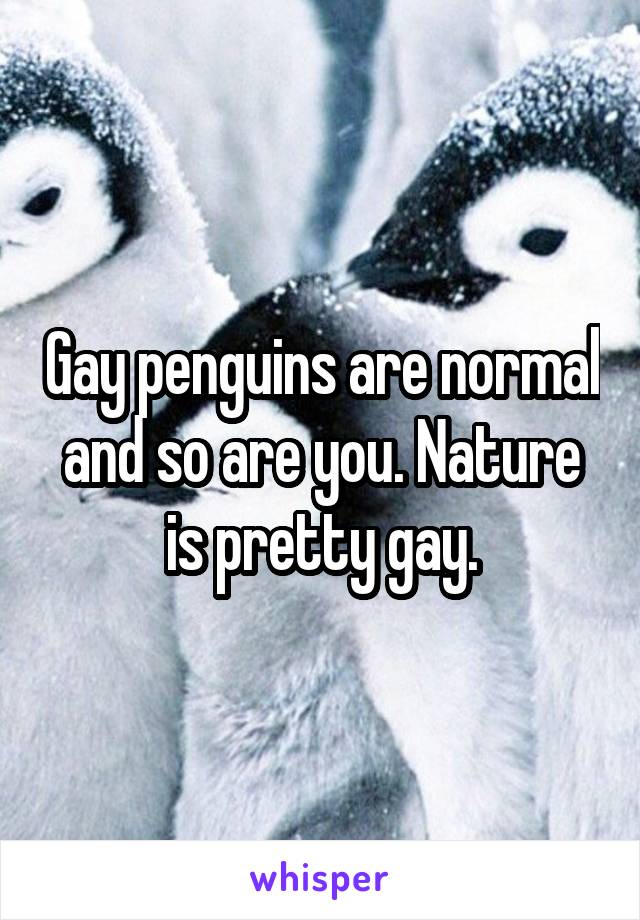 Gay penguins are normal and so are you. Nature is pretty gay.