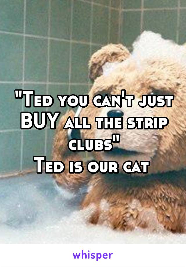 "Ted you can't just BUY all the strip clubs"
Ted is our cat 