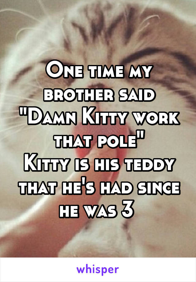 One time my brother said "Damn Kitty work that pole"
Kitty is his teddy that he's had since he was 3 