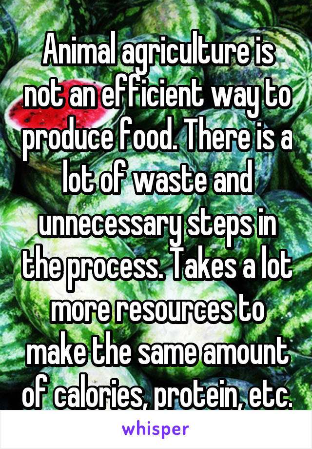 Animal agriculture is not an efficient way to produce food. There is a lot of waste and unnecessary steps in the process. Takes a lot more resources to make the same amount of calories, protein, etc.