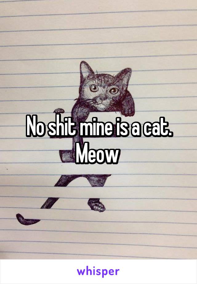 No shit mine is a cat.
Meow 