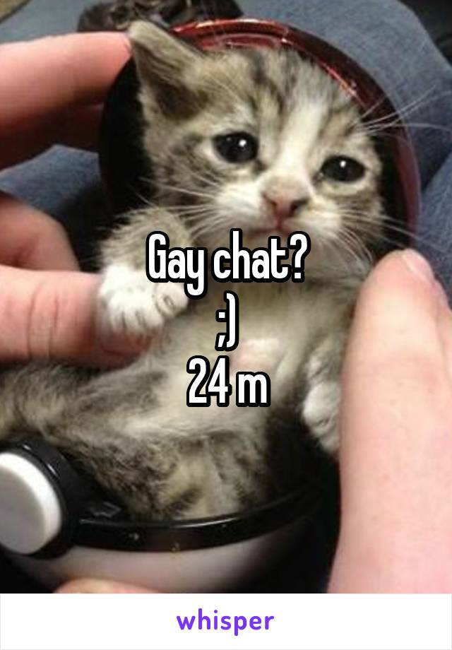 gay chat 24