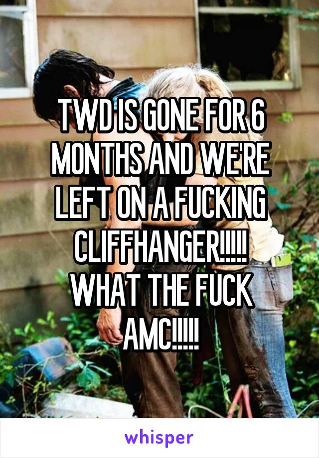 TWD IS GONE FOR 6 MONTHS AND WE'RE LEFT ON A FUCKING CLIFFHANGER!!!!!
WHAT THE FUCK AMC!!!!!