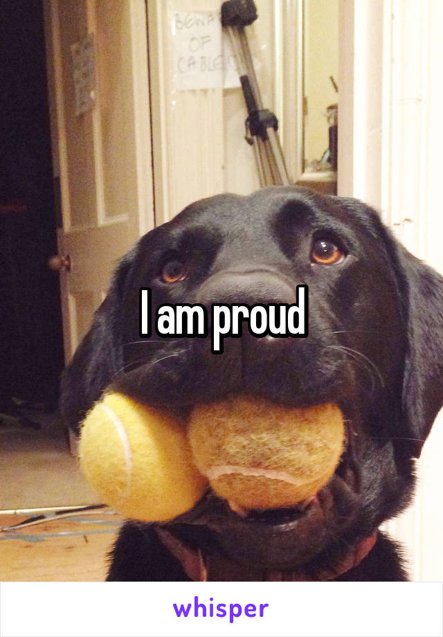 I am proud