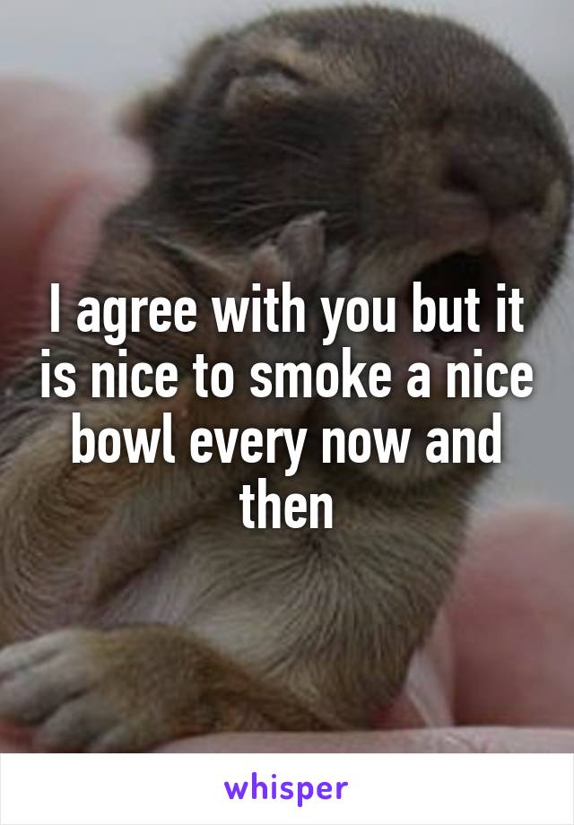 I agree with you but it is nice to smoke a nice bowl every now and then